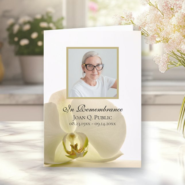 Programa Flor Orquídea no Serviço Funeral Branco Dobrado (Criador carregado)