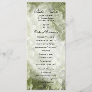 Programa Floral de Casamento Verde Annabelle Hydra