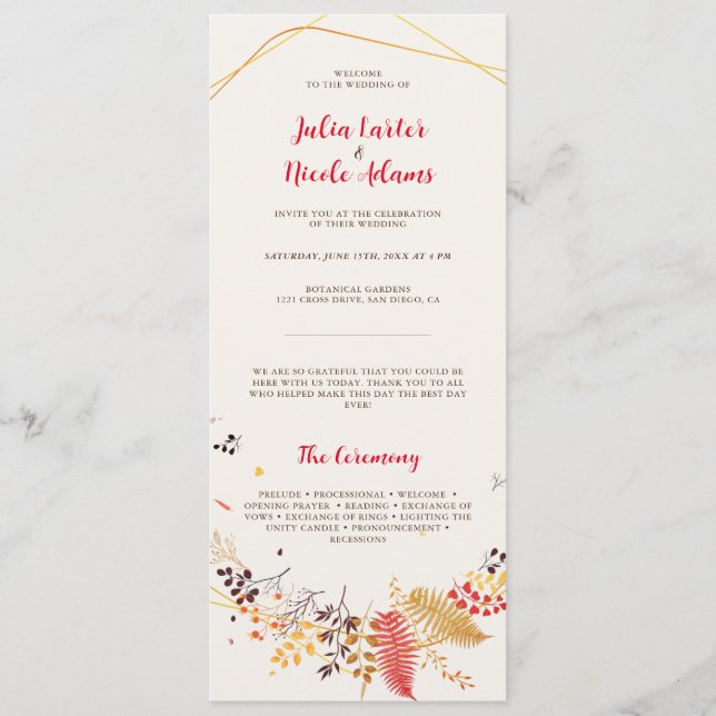 Programa Florestas Selvagens Florestais Fern Cogumelos Folh (Frente)