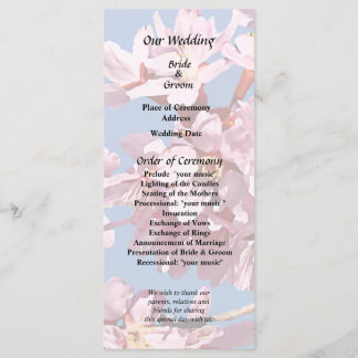 Programa Flowering Cherry Branch in Sunshine