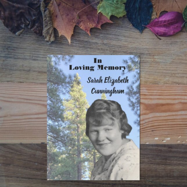 Programa Foto de Pine Tree do Serviço Memorial (Criador carregado)