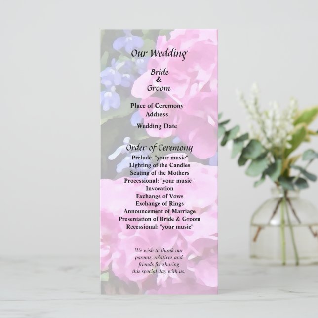 Programa Gerânios e Vinca (Em pé/Frente)