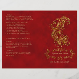 Programa Hindu do casamento do pavão vermelho e