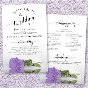 Programa lavanda de Casamento de Orçamento de Rosa