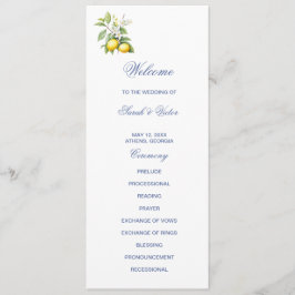 Programa Lemons Double Sided Flat Program