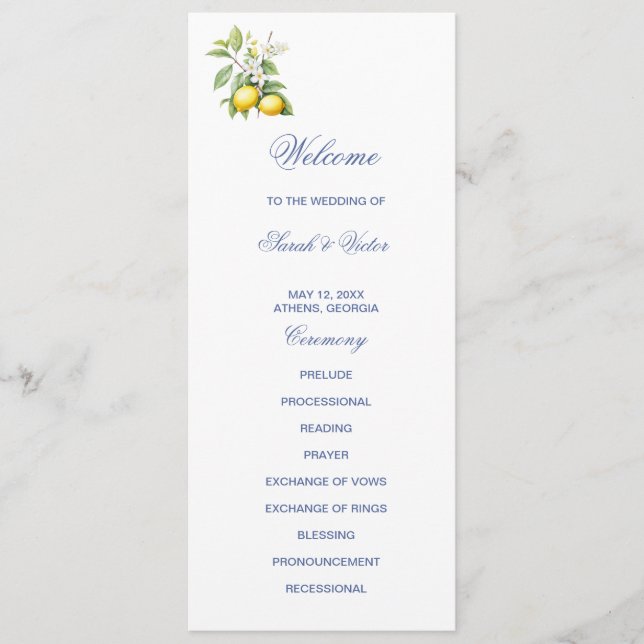 Programa Lemons Double Sided Flat Program (Frente)