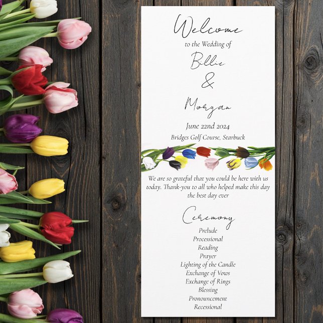 Programa LGBTQ mais Flores de Tulipas (Criador carregado)