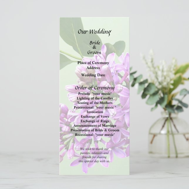 Programa Lilas Lindas (Em pé/Frente)