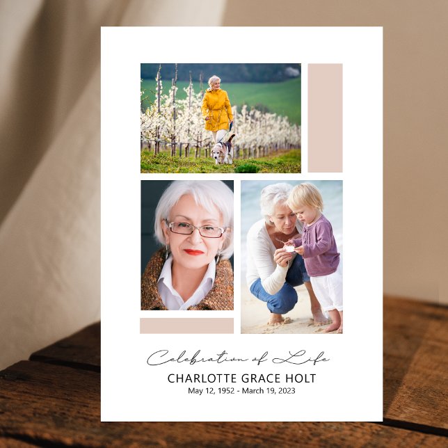 Programa Memorial da Galeria Moderna (Criador carregado)