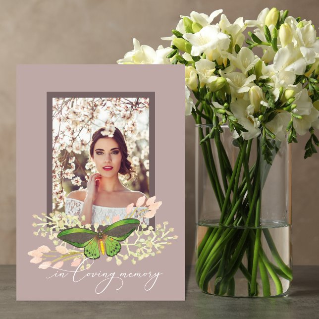 Programa Memorial de Fotografias da Borboleta (Criador carregado)