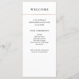 Programa Mínimo Moderno | Faux Rosa Dourado Border Program