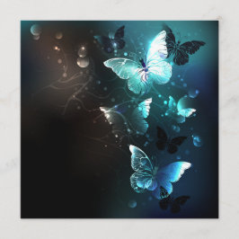 Programa Mint Night Butterflies