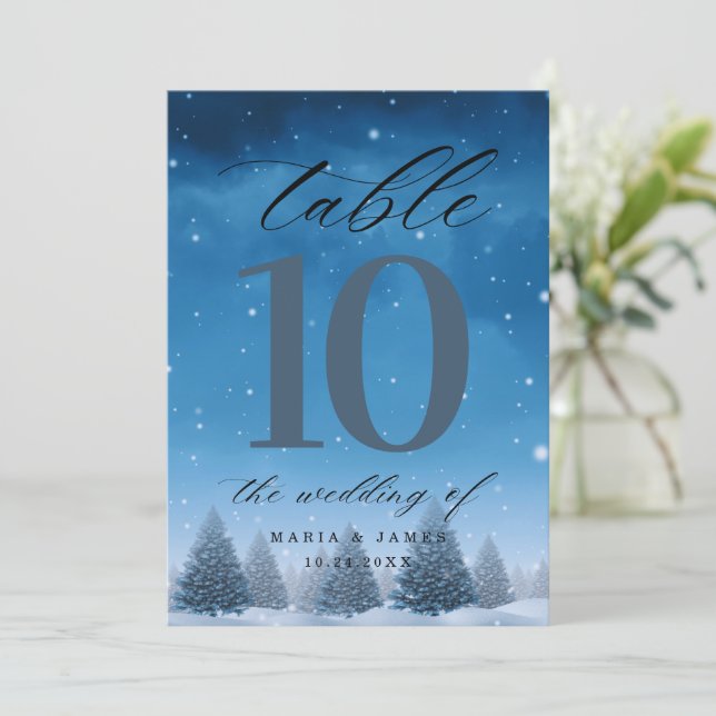 Programa Número da Tabela de Casamento de Neve de inverno (Em pé/Frente)