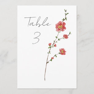 Programa Número da Tabela de Rosas Selvagens de Cores d'Águ