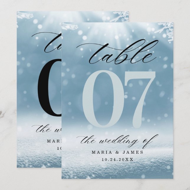 Programa Número de Mesa de Casamento Neve de Inverno (Frente/Verso)