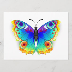 Programa Olho Peacock da Borboleta Arco-Íris