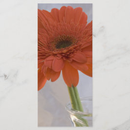 Programa Orange Daisy in Vase Wedding