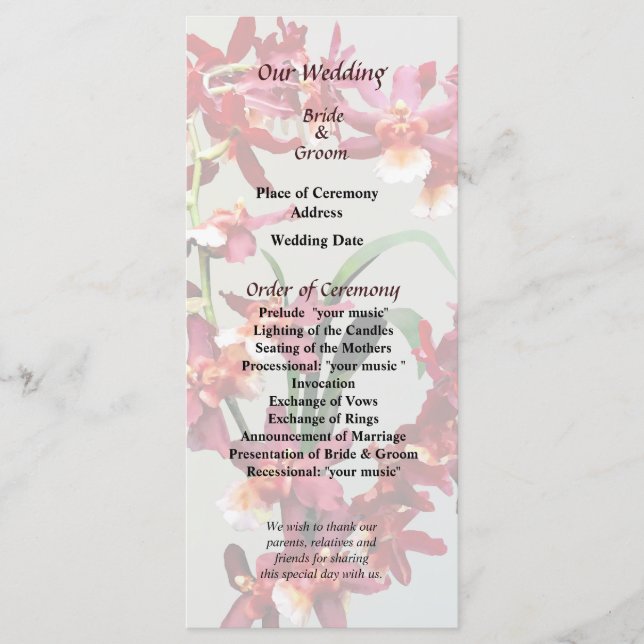 Programa Orchid Oncostele Hilo Firecracker New Year (Frente)