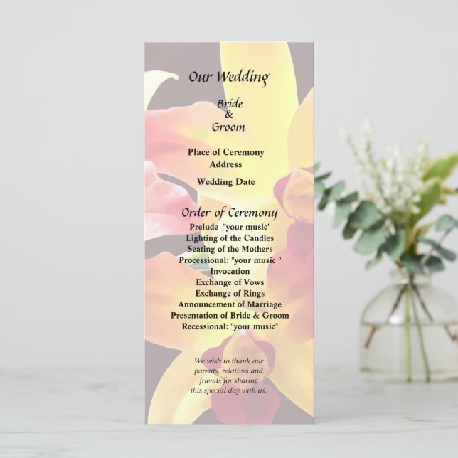 Programa Orquídeas Amarelas e Marrons Brassolaeliocattleya (Em pé/Frente)