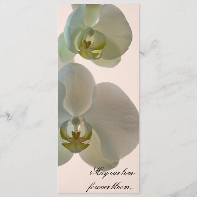 Programa Orquídeas Brancas Elegantes em Casamento Rosa (Frente)