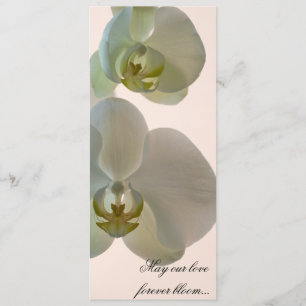 Programa Orquídeas Brancas Elegantes em Casamento Rosa