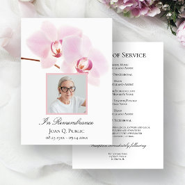 Programa Orquídeas Rosa no Serviço Memorial Funeral Branco