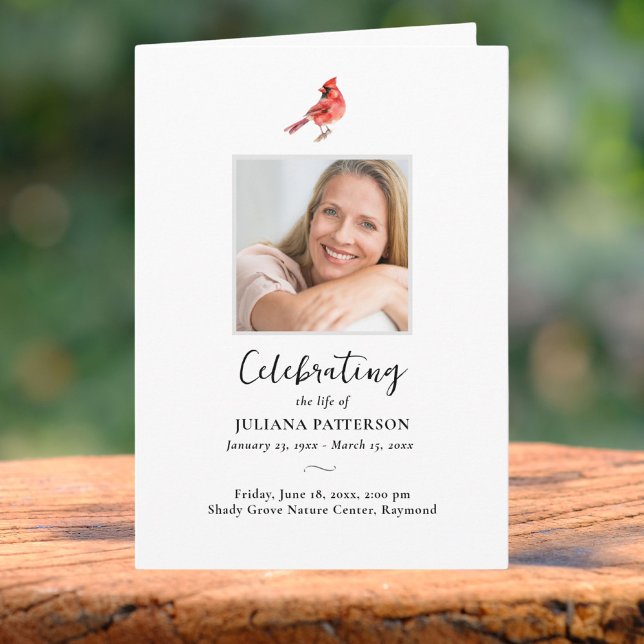 Programa Pássaro Cardeal Vermelho, Fotos Funerais da Ordem  (Criador carregado)