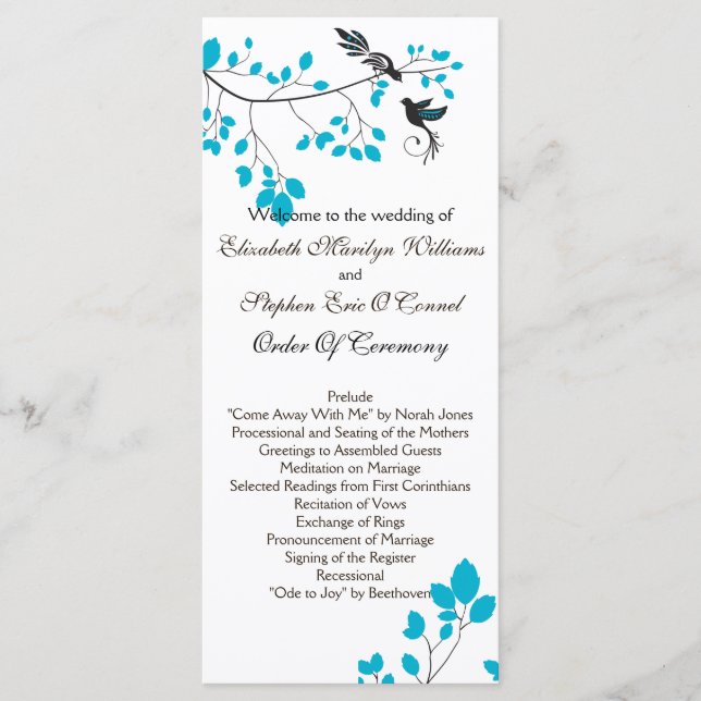 Programa Pássaros do Amor Azul (Frente)