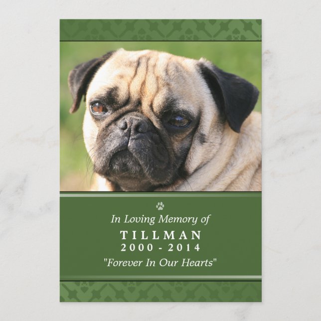 Programa Pet Memorial Card 5"x7" Foto Verde - Pet Masculino (Frente)