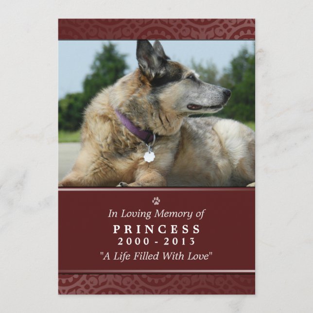 Programa Pet Memorial Card 5"x7" - Ponte arco-íris (fêmea) (Frente)