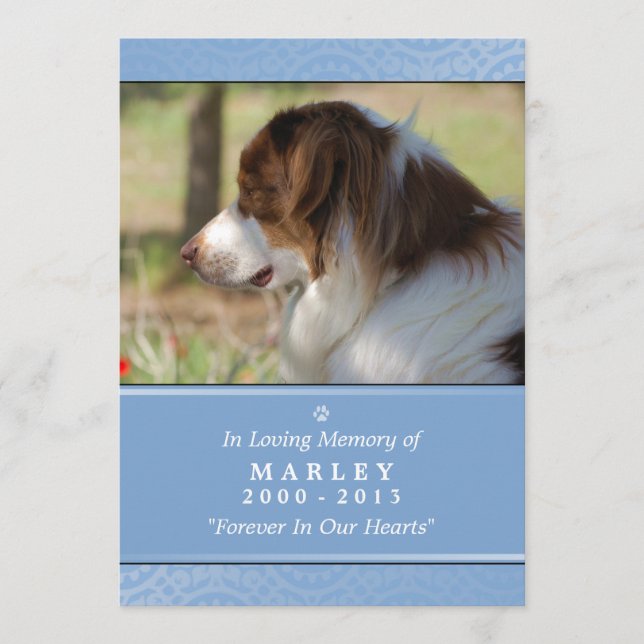 Programa Pet Memorial Poema do Jardim Azul Claro 5x7 (Frente)