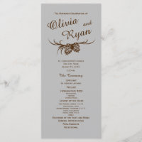 Pine Cones Rustic Silver e Brown