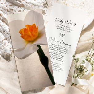 Programa Primavera de Casamento Daffodil Branco