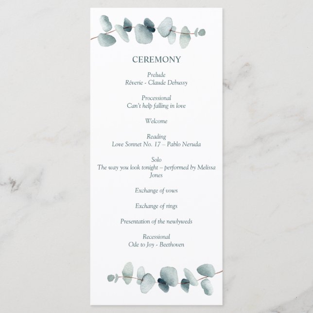 Programa Ramificação Mínima Simples do Eucalyptus Moderno (Frente)