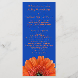 Programa Real Blue Casamento Laranja Daisy Flower