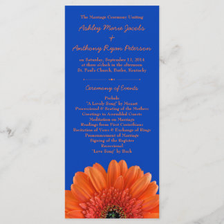 Programa Real Blue Casamento Laranja Daisy Flower