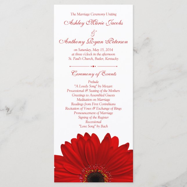 Programa Red Gerbera Daisy Flower White Wedment Program (Frente)