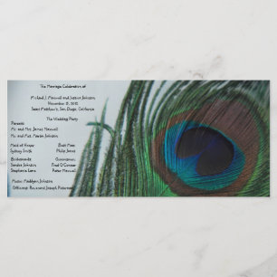 Programa Romântico de Casamento de Peacock