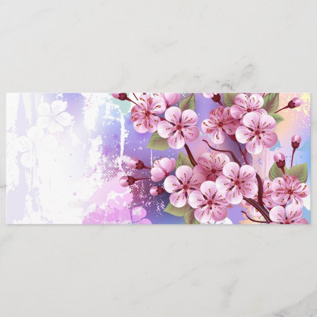 Programa Sakura rosa no fundo da pintura (Frente)