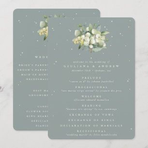 Programa Seafoam Green Snowberry+Eucalyptus Buquê Weding