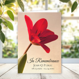 Programa Serviço Funeral de Primavera de Flor de Tulip Verm