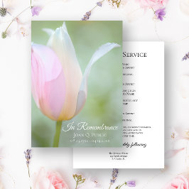Programa Serviço Memorial de Funeral de Tulipa Pastel de Pr
