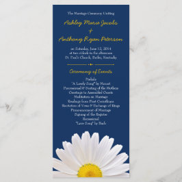 Programa Shasta Daisy Flower Yellow Casamento
