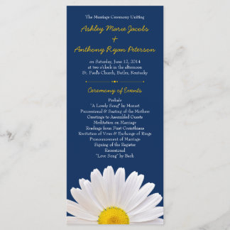 Programa Shasta Daisy Flower Yellow Casamento