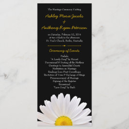 Programa Shasta Daisy Flower Yellow Casamento