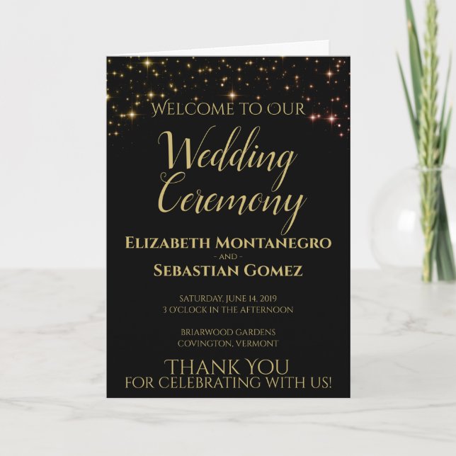 Programa Shimmering Sparkles Wedding Program (Frente)