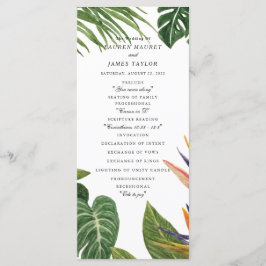 Programa Sonho tropical