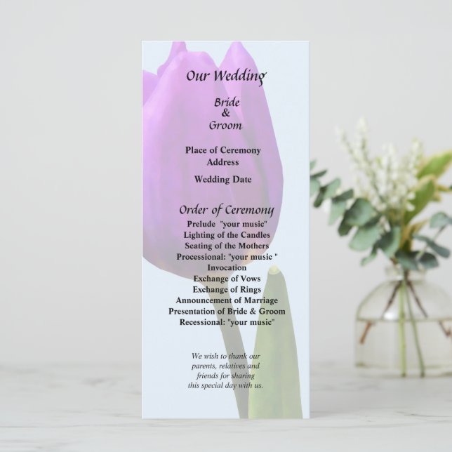 Programa Tulipa Roxa Única (Em pé/Frente)