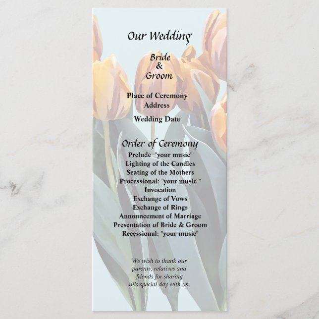 Programa Tulipas Laranja (Frente)