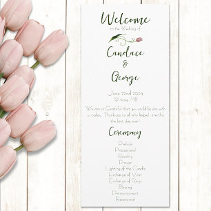 Programa Tulipas Rosa Floral
